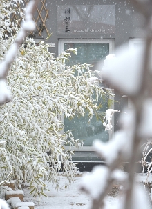 Entrata al dojang sotto una nevicata