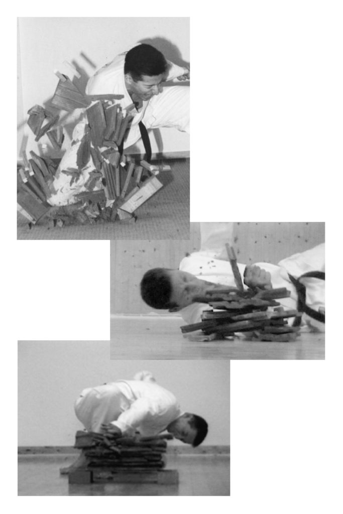 http://www.taekwondo-drexler.it/wp-content/uploads/2020/FotoAlbum1/F07-683x1024.jpg